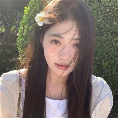 白鹭