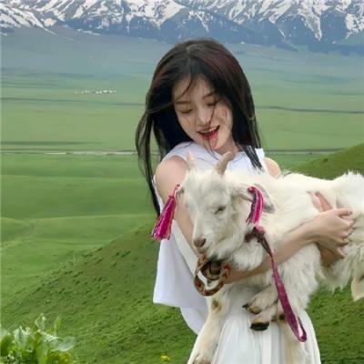 万物友灵